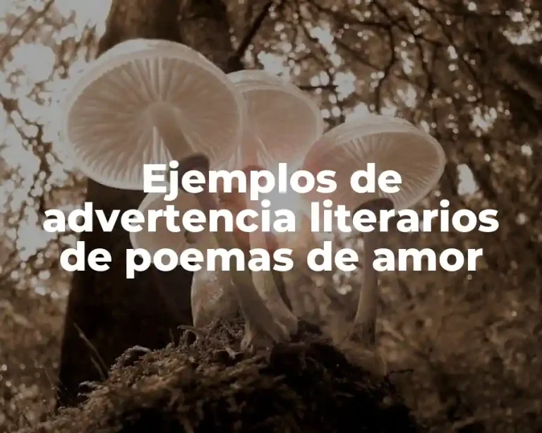 Ejemplos de advertencia literarios de poemas de amor