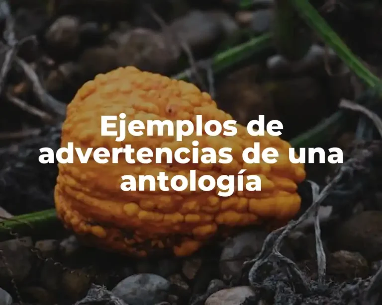 Ejemplos de advertencias de una antología