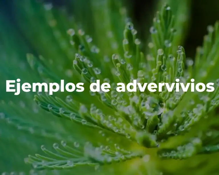 Ejemplos de advervivios