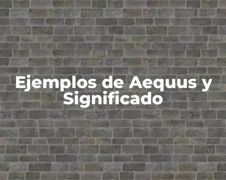 Ejemplos de Aequus y Significado