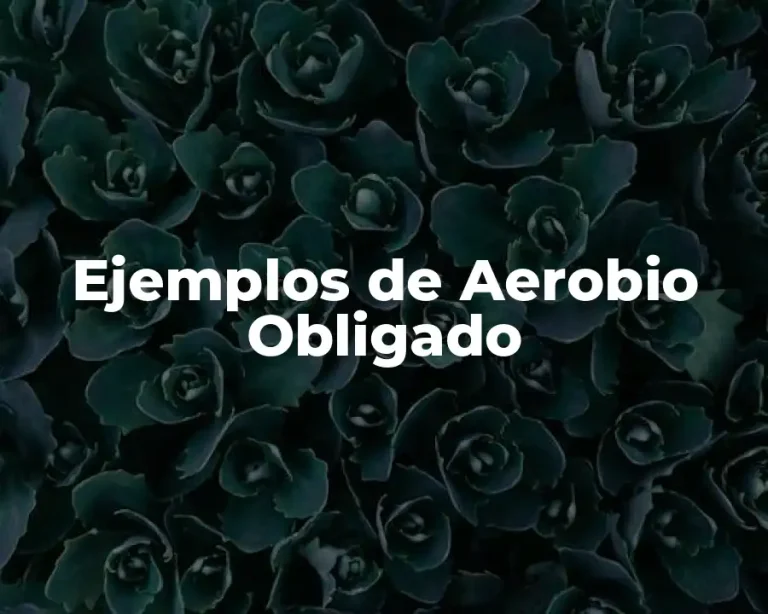 Ejemplos de Aerobio Obligado