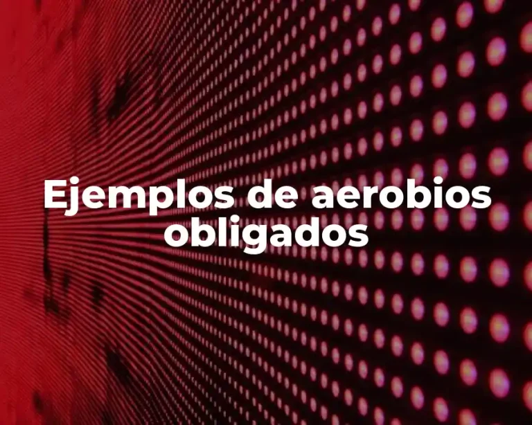 Ejemplos de aerobios obligados