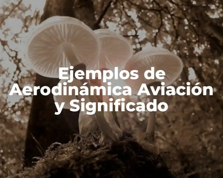 Ejemplos de Aerodinámica Aviación y Significado