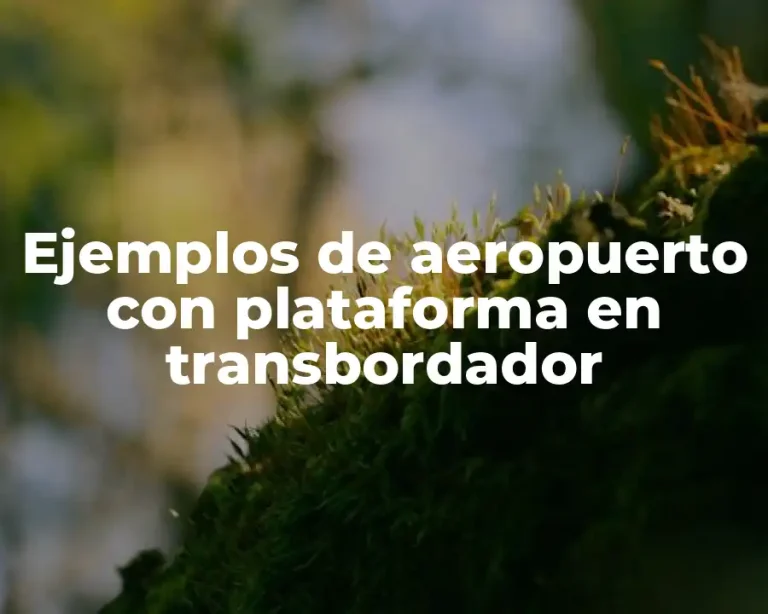 Ejemplos de aeropuerto con plataforma en transbordador