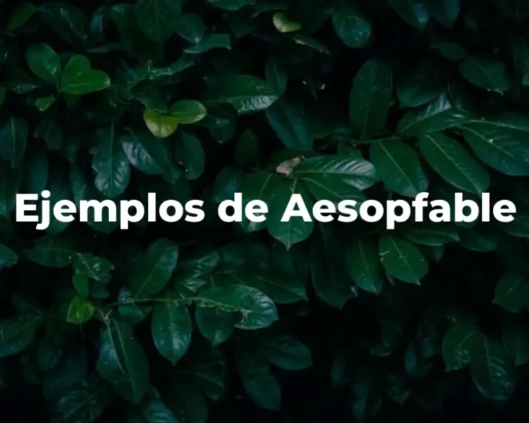 Ejemplos de Aesopfable