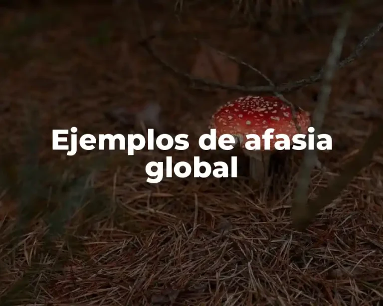 Ejemplos de afasia global