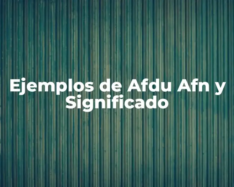 Ejemplos de Afdu Afn y Significado
