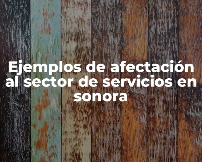 Ejemplos de afectación al sector de servicios en sonora