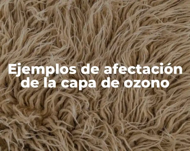 Ejemplos de afectación de la capa de ozono