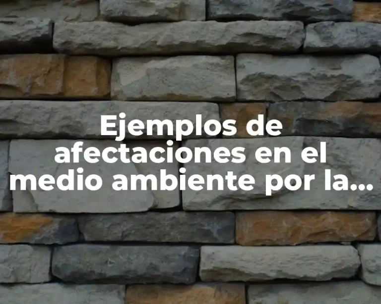 Ejemplos de afectaciones en el medio ambiente por la globalización