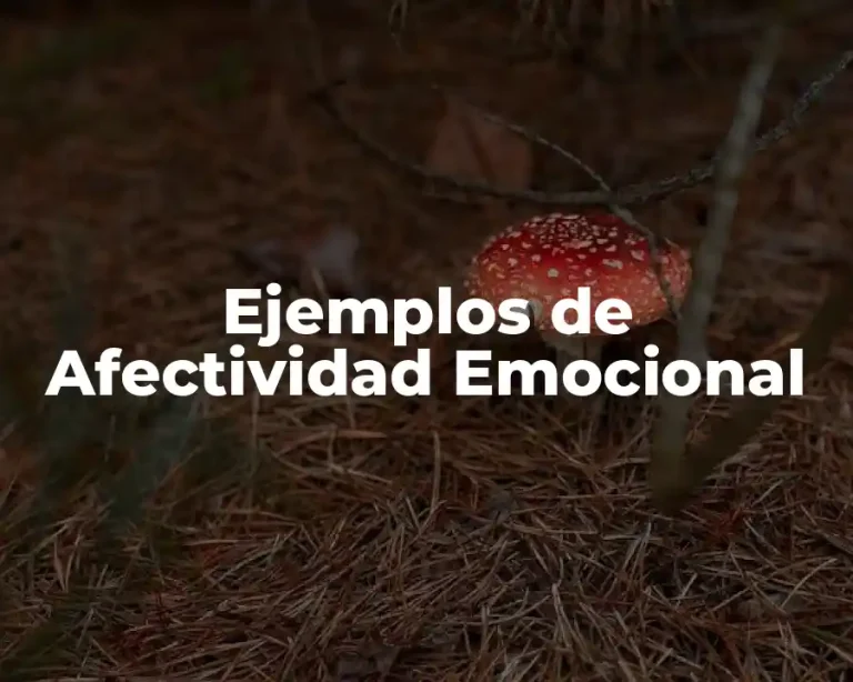Ejemplos de Afectividad Emocional