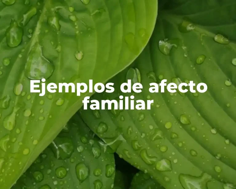 Ejemplos de afecto familiar