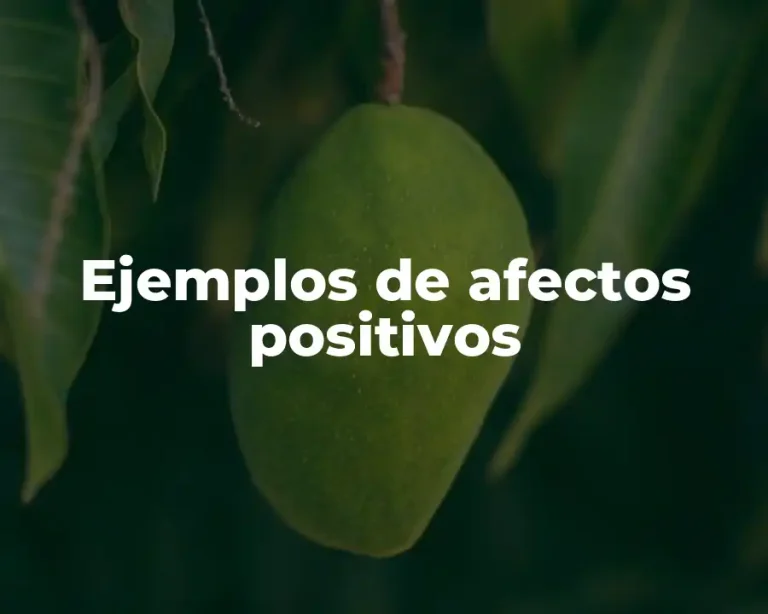 Ejemplos de afectos positivos
