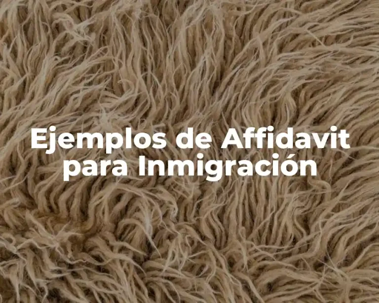 Ejemplos de Affidavit para Inmigración