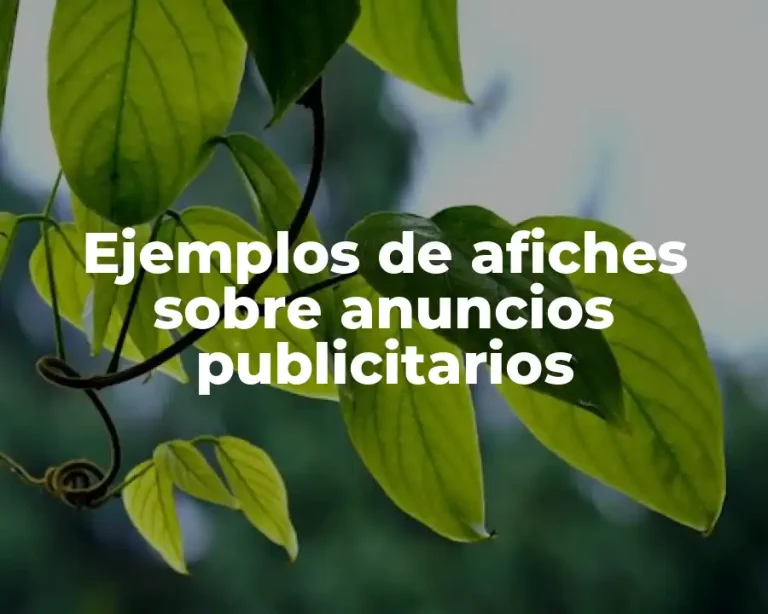 Ejemplos de afiches sobre anuncios publicitarios