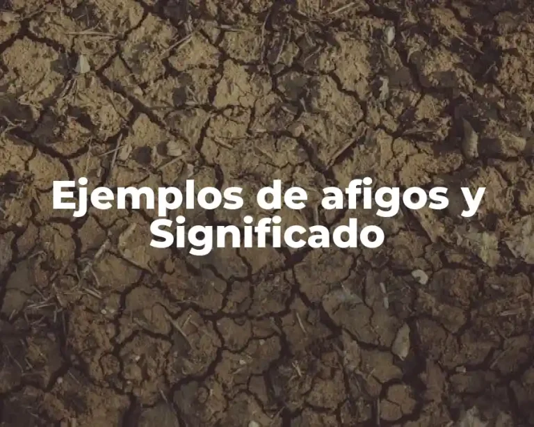 Ejemplos de afigos y Significado