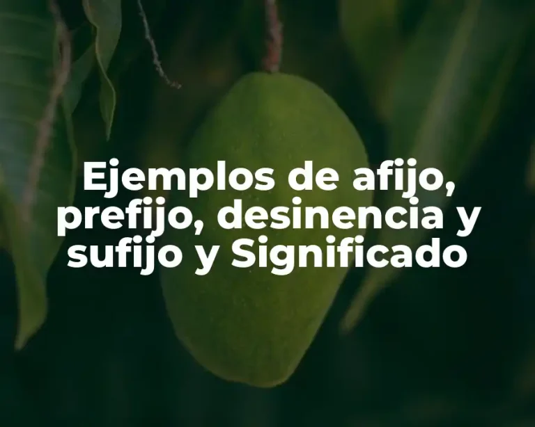 Ejemplos de afijo, prefijo, desinencia y sufijo y Significado