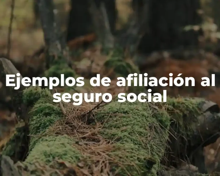 Ejemplos de afiliación al seguro social