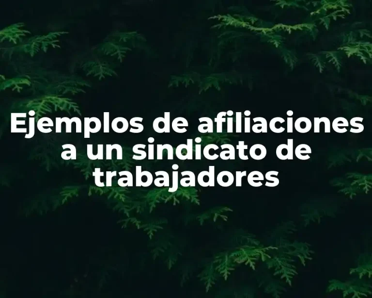 Ejemplos de afiliaciones a un sindicato de trabajadores