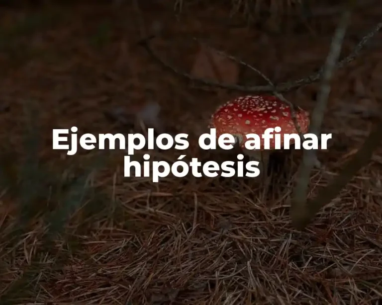 Ejemplos de afinar hipótesis