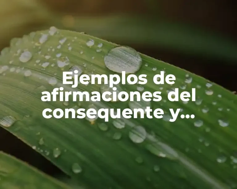 Ejemplos de afirmaciones del consequente y Significado