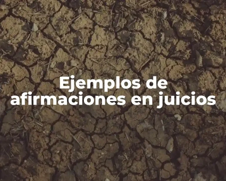 Ejemplos de afirmaciones en juicios
