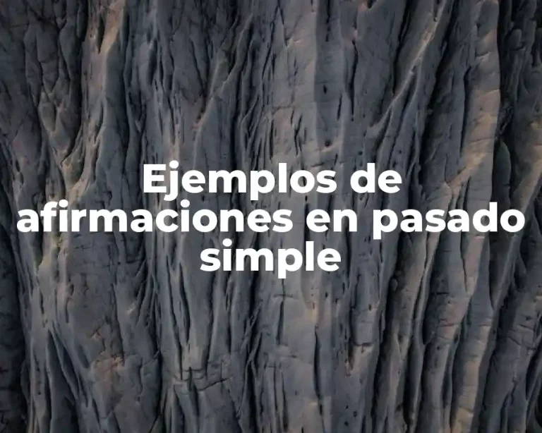 Ejemplos de afirmaciones en pasado simple