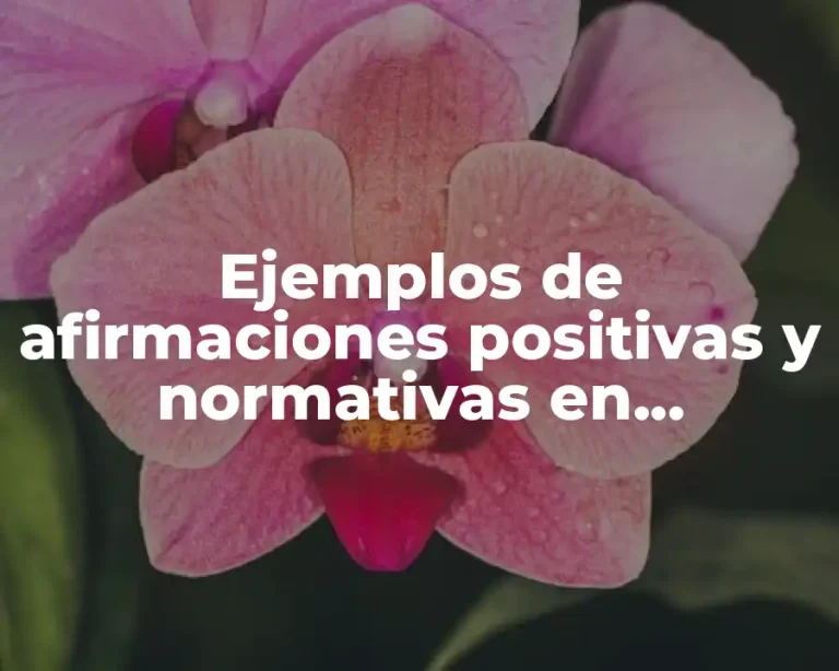 Ejemplos de afirmaciones positivas y normativas en economía