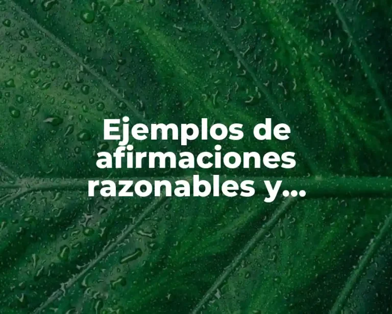 Ejemplos de afirmaciones razonables y Significado