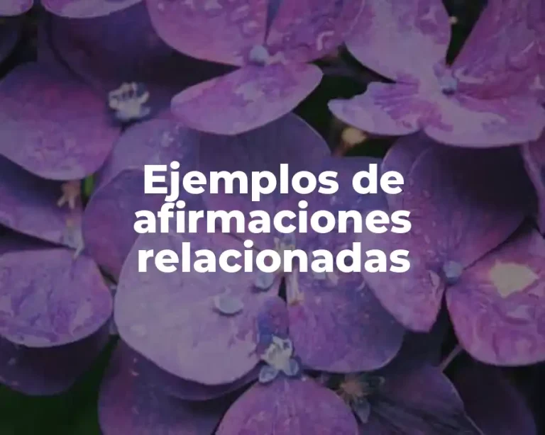 Ejemplos de afirmaciones relacionadas