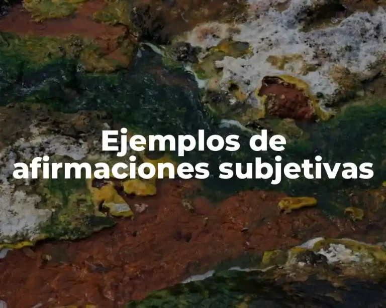 Ejemplos de afirmaciones subjetivas