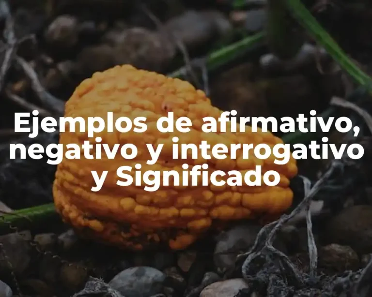 Ejemplos de afirmativo, negativo y interrogativo y Significado