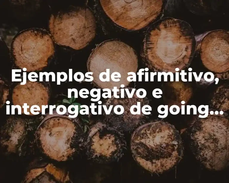 Ejemplos de afirmitivo, negativo e interrogativo de going to
