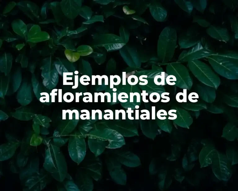 Ejemplos de afloramientos de manantiales