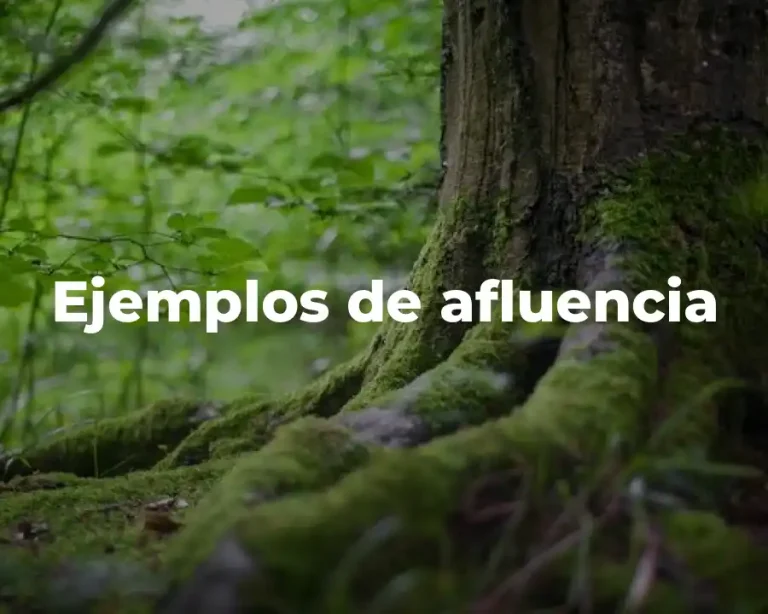 Ejemplos de afluencia