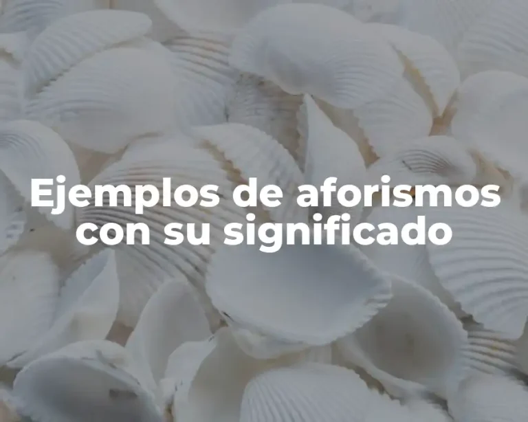Ejemplos de aforismos con su significado
