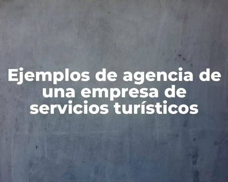 Ejemplos de agencia de una empresa de servicios turísticos