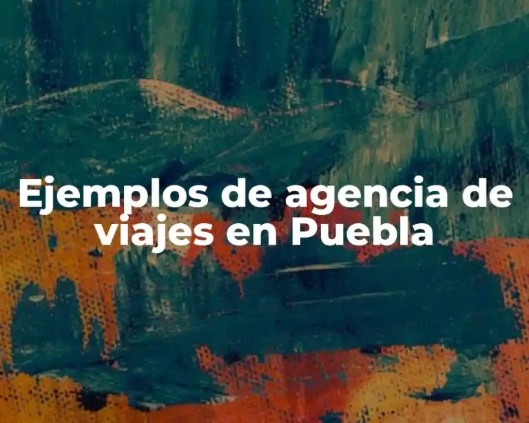 Ejemplos de agencia de viajes en Puebla
