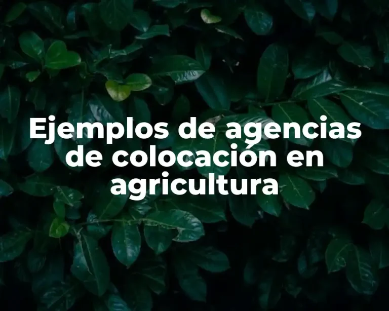 Ejemplos de agencias de colocación en agricultura