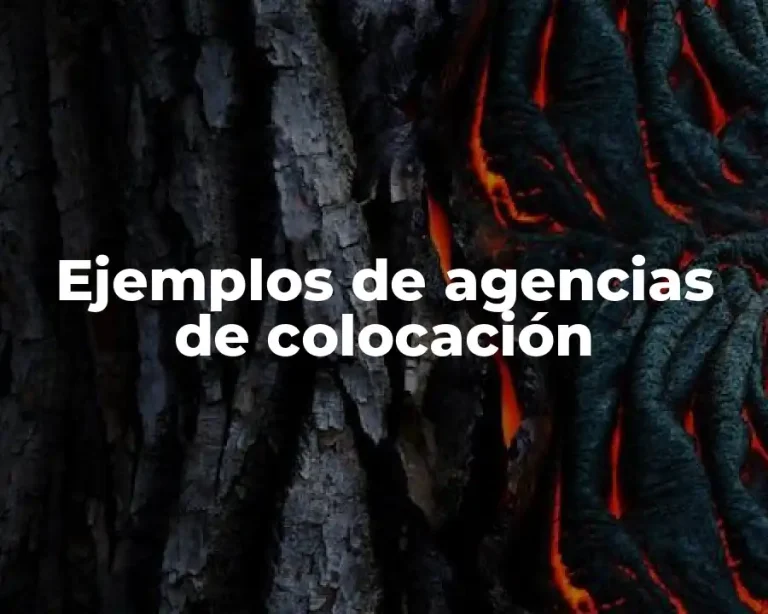 Ejemplos de agencias de colocación