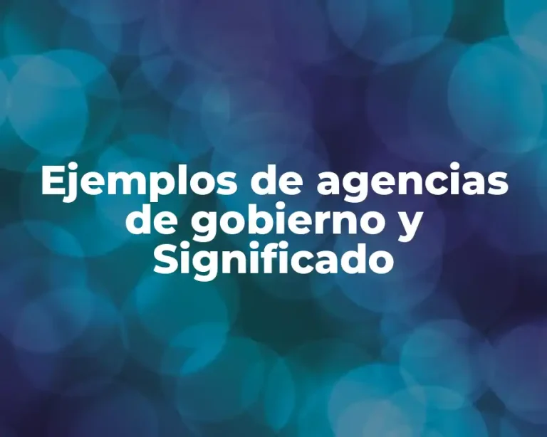 Ejemplos de agencias de gobierno y Significado
