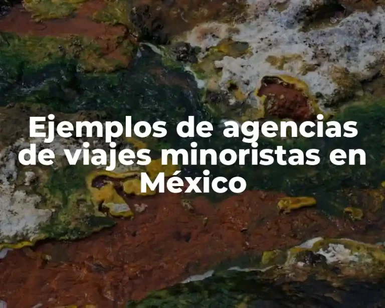 Ejemplos de agencias de viajes minoristas en México