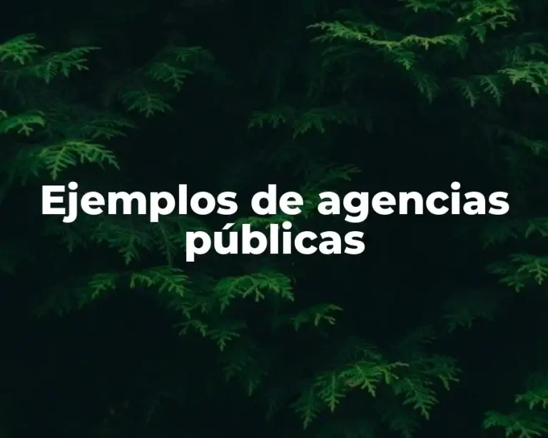 Ejemplos de agencias públicas