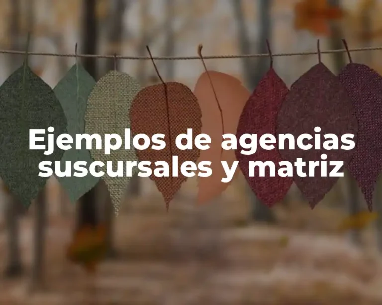 Ejemplos de agencias suscursales y matriz