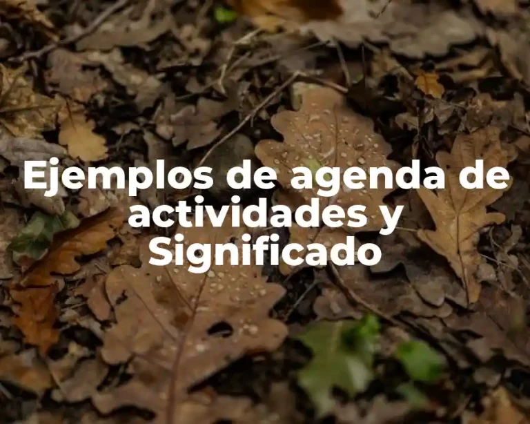 Ejemplos de agenda de actividades y Significado