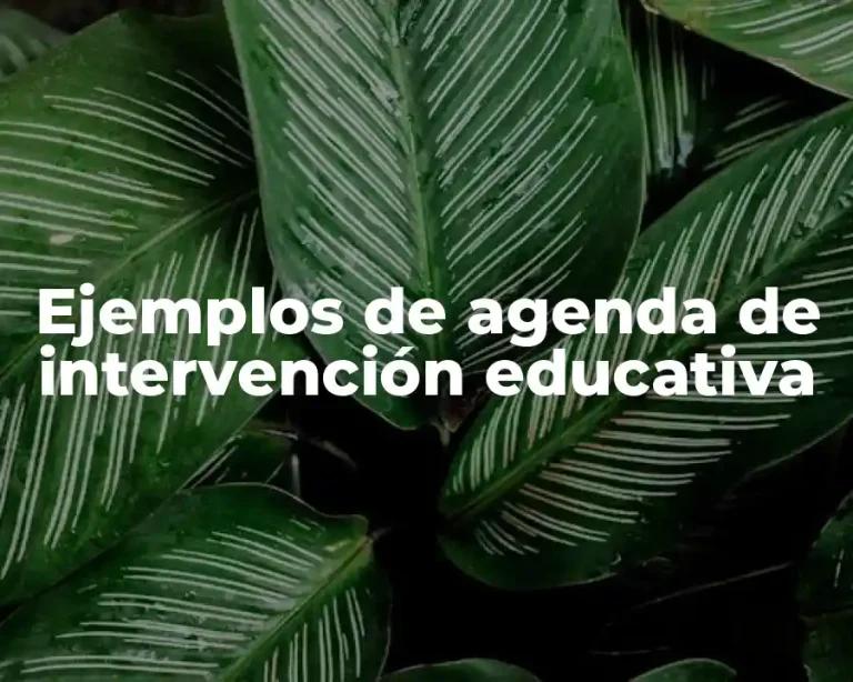 Ejemplos de agenda de intervención educativa