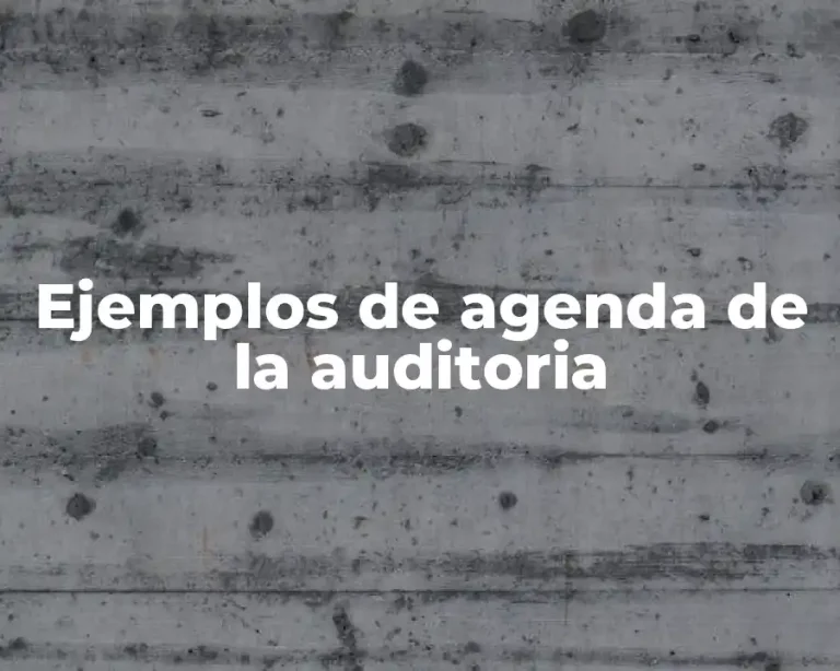 Ejemplos de agenda de la auditoria