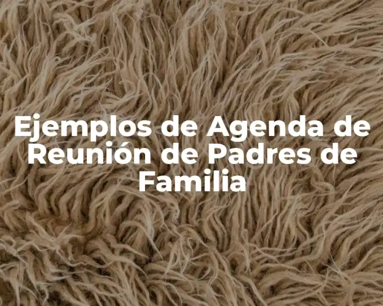 Ejemplos de Agenda de Reunión de Padres de Familia