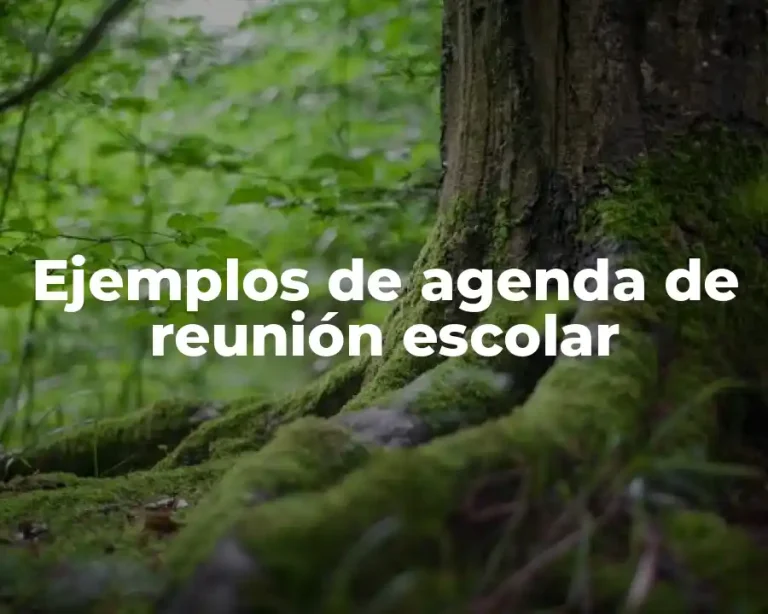 Ejemplos de agenda de reunión escolar