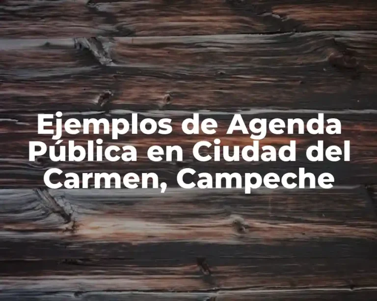 Ejemplos de Agenda Pública en Ciudad del Carmen, Campeche